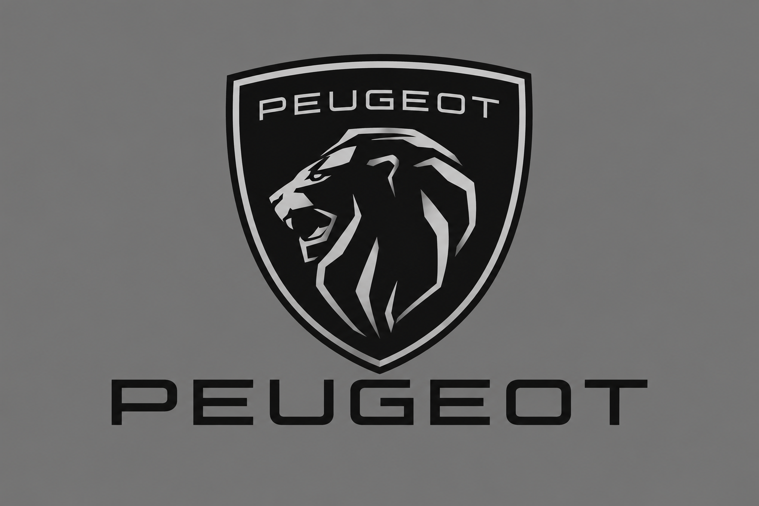 Peugeot Özel Servis